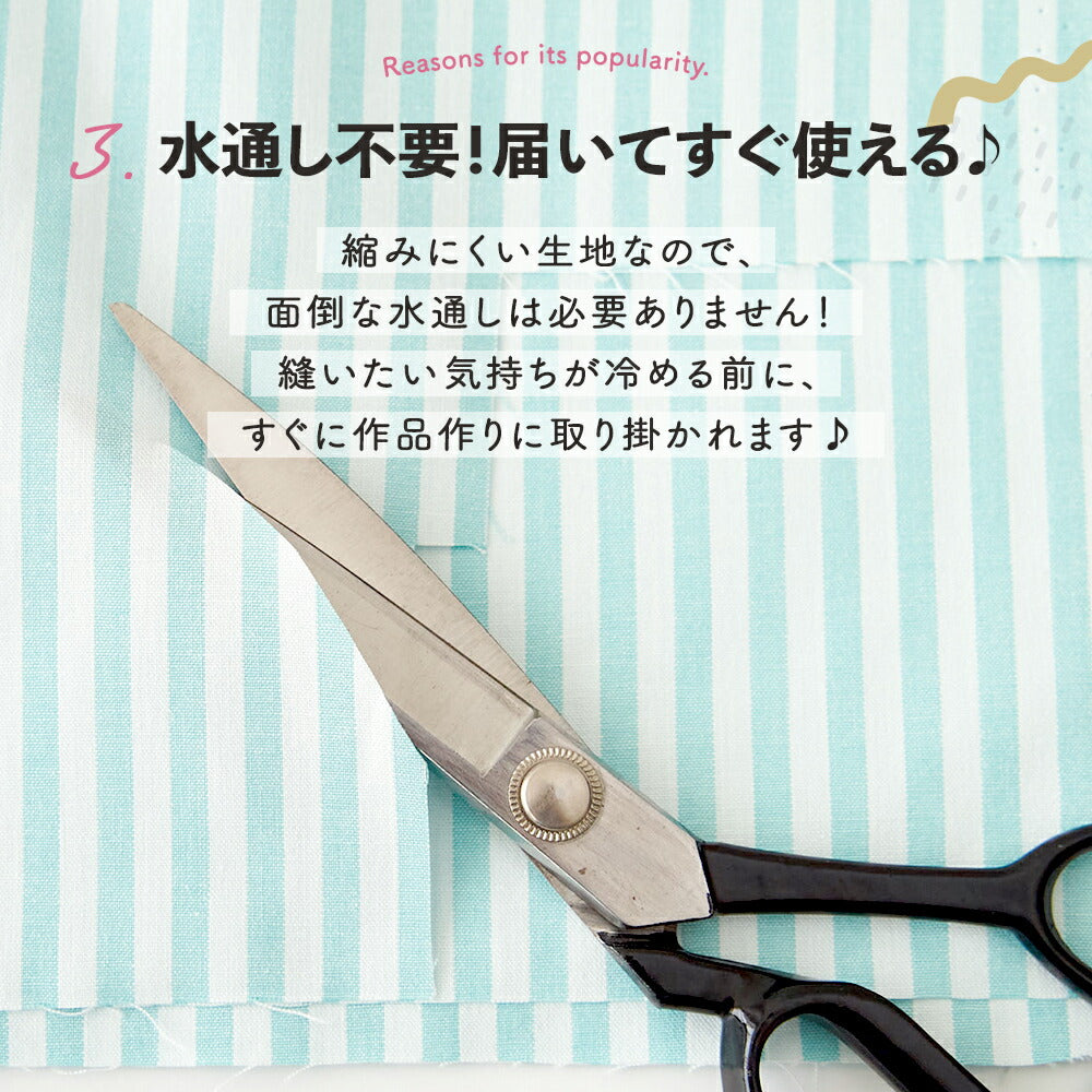 綿ポリダンガリー ストライプ#カラー_共通