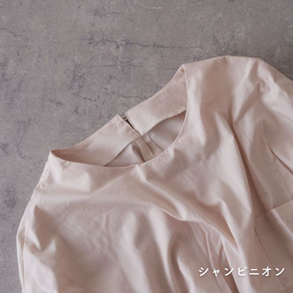 日本のブロード#色_シャンピニオン