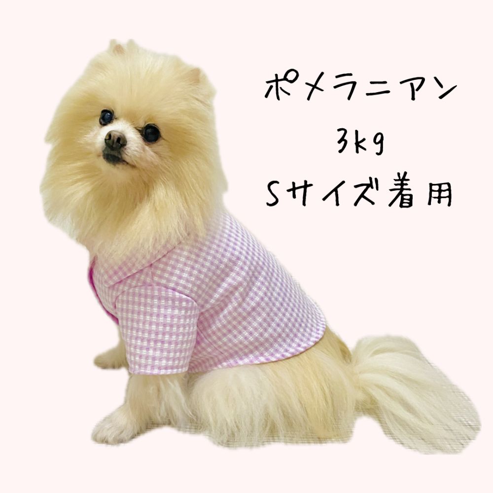 パステルギンガム 使用例