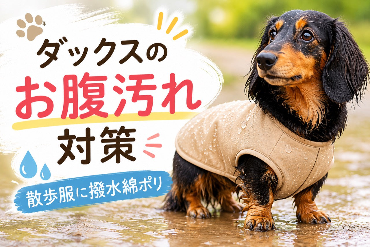 ダックスのお腹汚れ対策 散歩服に撥水綿ポリ