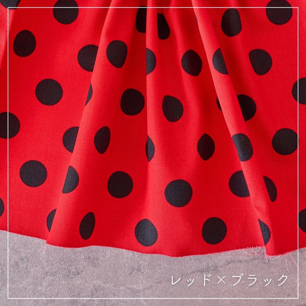 コットン ツイル ドット レッド×オフ白