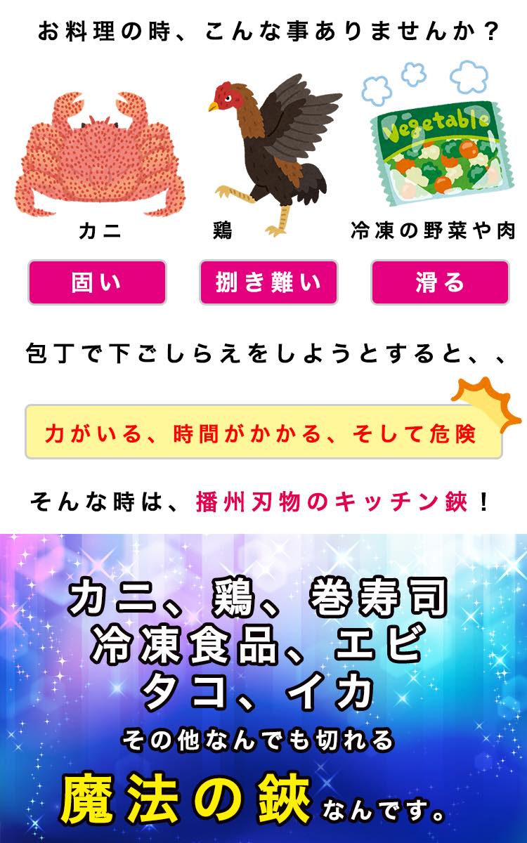 播州刃物 オールステン キッチン鋏 シェフキッチン  Banshu Hamono 名入れ不可 画像3
