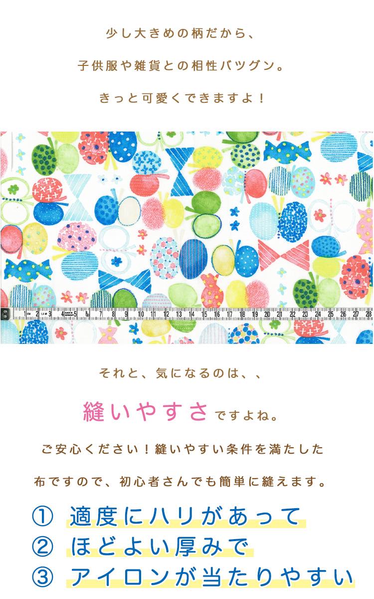 コットンブロード リボンちょうちょ 4